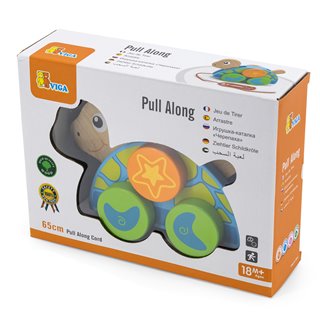 Pull-along - turtle
